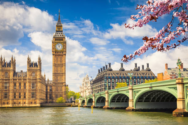 Tutor Abroad Studies